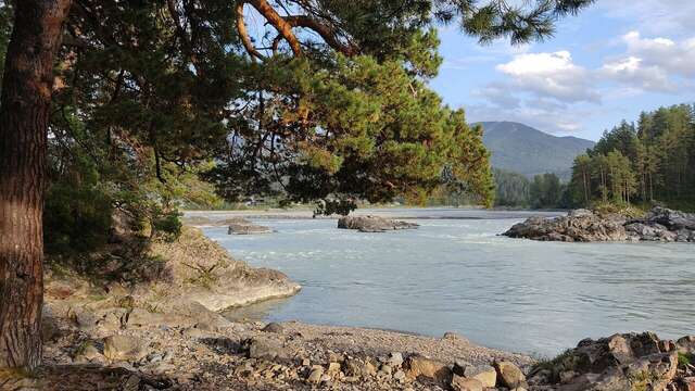 Гостиница Манжерок Манжерок-124