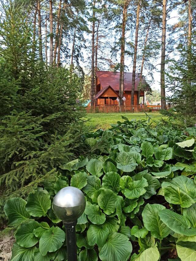 Гостиница Манжерок Манжерок-41